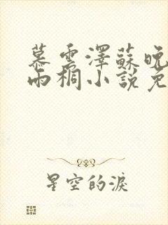 慕云泽苏晚晴夏雨桐小说免费阅读封面