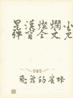 星汉灿烂小说无弹窗全文免费阅读