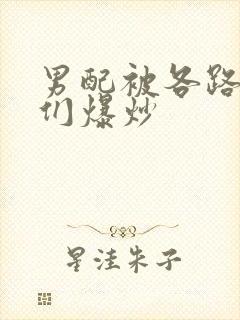 男配被各路大佬们爆炒封面