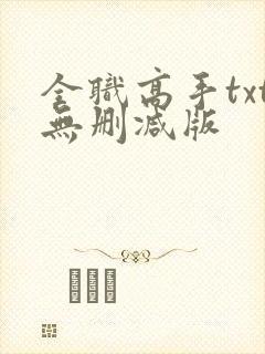全职高手txt无删减版