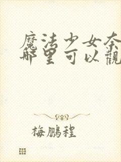 魔法少女奈叶在哪里可以观看