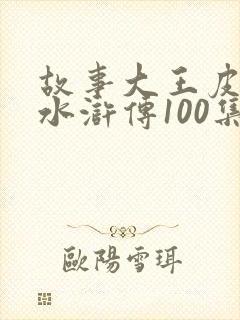 故事大王皮皮讲水浒传100集