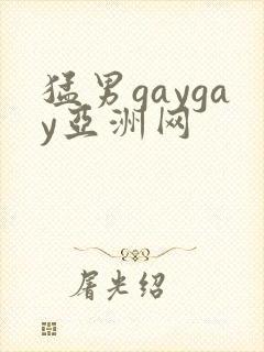 猛男gaygay亚洲网