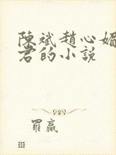 陈斌赵心媚高婉君的小说