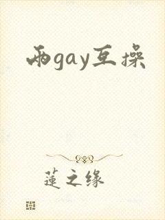 两gay互操