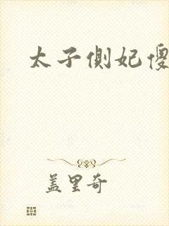 太子侧妃傻乎乎封面