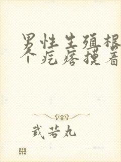 男性生殖根部有个疙瘩摸着有痛感怎么办