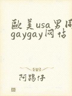 欧美usa男同gaygay网站