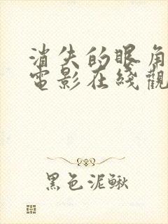 消失的眼角膜 电影在线观看