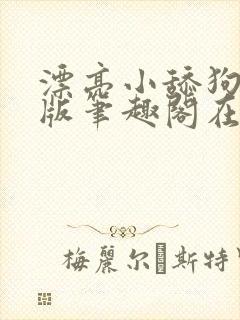 漂亮小舔狗完结版笔趣阁在线阅读