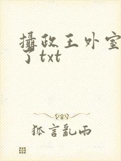 摄政王外室重生了txt