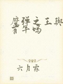 魔弹之王与战姬有牛吗封面