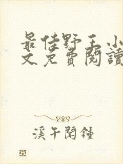 最佳野王小说全文免费阅读