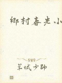 乡村春光小说