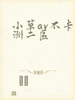 小草av不卡亚洲二区