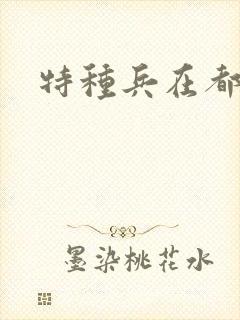 特种兵在都市封面