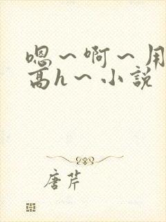 嗯～啊～用力～高h～小说