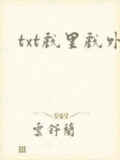txt戏里戏外