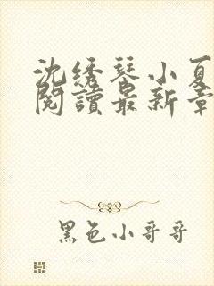 沈绣琴小夏全文阅读最新章节封面