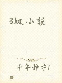 3级小说