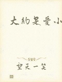 大约是爱小说