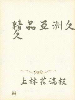 精品亚洲久久久久封面