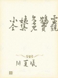 小姨多鹤电视剧全集免费观看完整版封面