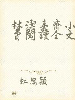 林洁秦齐小说免费阅读全文最新章节