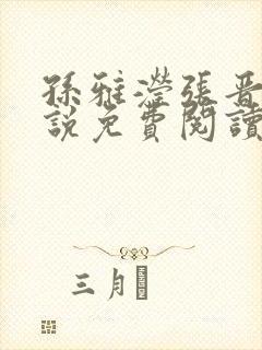 孙雅滢张晋的小说免费阅读无弹窗