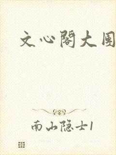 文心阁大团结封面