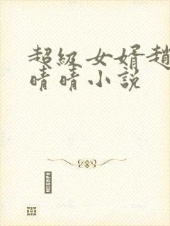 超级女婿赵旭李晴晴小说封面