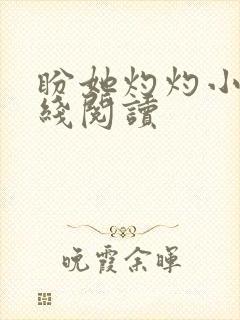 盼她灼灼小说在线阅读