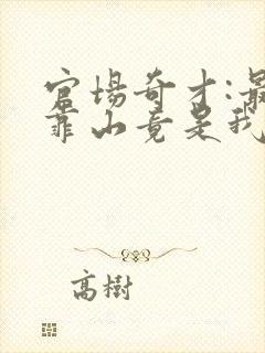 官场奇才:最强靠山竟是我自己李澜在线阅