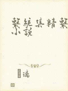 系统集精系统 小说