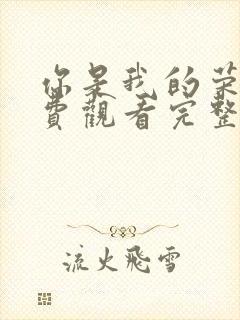 你是我的荣耀免费观看完整版西瓜