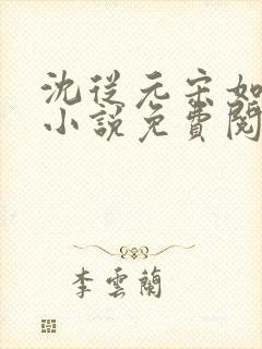 沈从元宋如嫣的小说免费阅读封面