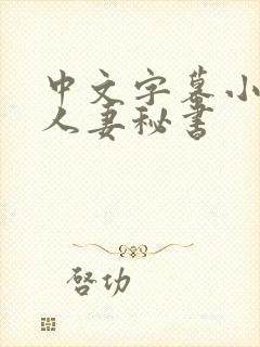 中文字幕小泽彻人妻秘书