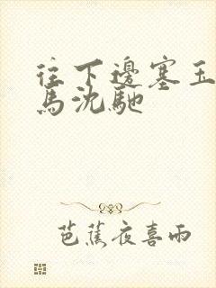 往下边塞玉器骑马沈驰封面