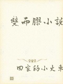 双面胶小说封面