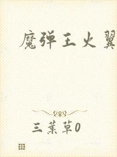 魔弹王火翼龙王