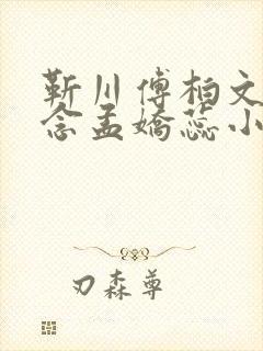 靳川傅柏文沈念念孟娇蕊小说