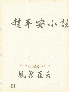 赵平安小说主角