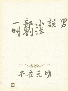 一部小说男主角叫刘洋