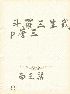 斗罗三生武魂cp唐三封面