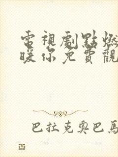 电视剧点燃我温暖你免费观看全集高清