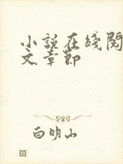 小说在线阅读全文章节