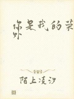 你是我的荣耀番外