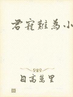 君宠难为小说封面