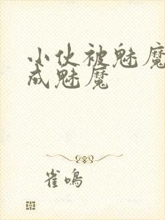 小伙被魅魔附身成魅魔