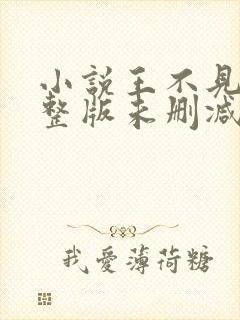 小说王不见王完整版未删减小说